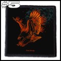 PROTEST THE HERO -- Patch (5).jpg