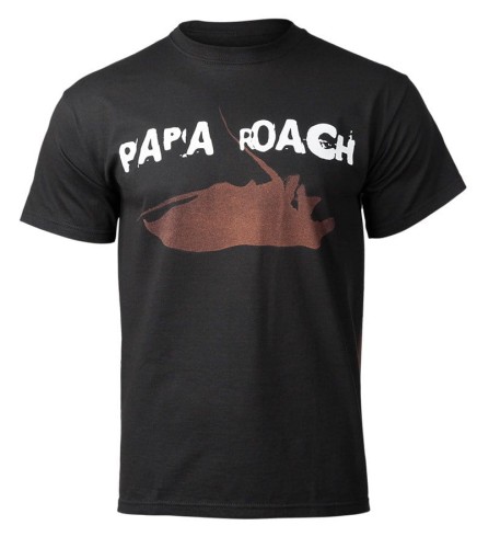 pol_pl_koszulka-PAPA-ROACH-barwiona-178288_1.jpg