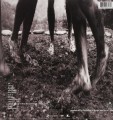 pol_pm_PEARL-JAM-VS-LP-WINYL-215742_7.jpg