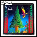 OZRIC TENTACLES -- Patch (2).jpg