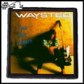 WAYSTED -- Patch (04).jpg
