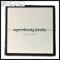 A Perfect Circle --- Patch (22).jpg