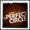 A Perfect Circle --- Patch (26).jpg