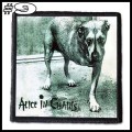 ALICE IN CHAINS -- patch (9).jpg