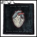 ALICE IN CHAINS -- patch (14).jpg