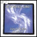 NEW MODEL ARMY -- Patch (7).jpg