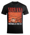 pol_pl_koszulka-NIRVANA-SOMETHING-IN-THE-WAY-211418_2.jpg