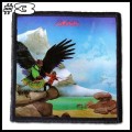 BUDGIE -- Patch (3).jpg