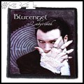 BLUT ENGEL -- Patch (34).jpg