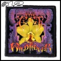 THE CULT -- Patch (12).jpg