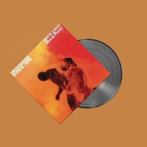 NOTHING BUT THIEVES - Moral Panic LP