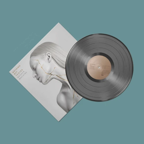pol_pl_NOTHING-BUT-THIEVES-Broken-Machine-LP-65798_1.webp