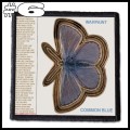 WARPAINT -- Patch (6).jpg