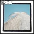 WIDOWSPEAK -- Patch (8).jpg