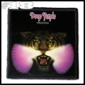 DEEP PURPLE -- Patch (18).jpg