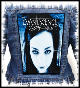 Ekran EVANESCENCE - Fallen