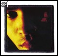 LENNY KRAVITZ -- patch (1).jpg