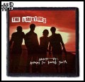 THE LIBERTINES -- patch (3).jpg