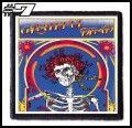 THE GRATEFUL DEAD -- patch (7).jpg