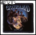 THE GRATEFUL DEAD -- patch (18).jpg
