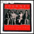 JOURNEY -- Patch (30).jpg