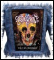 AEROSMITH - Devil’s Got a New Disguise -- backpatch back patch.jpg