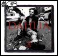 X JAPAN -- patch (6).jpg