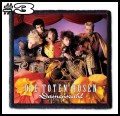 DIE TOTEN HOSEN -- patch (3).jpg
