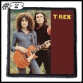 T.REX -- Patch (8).jpg
