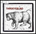 THIRD EYE BLIND -- Patch (3).jpg
