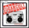 SUGARCULT -- Patch (6).jpg