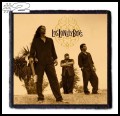 LOS LONELY BOYS -- Patch (2).jpg