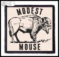MODEST MOUSE -- Patch (3).jpg