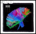 MUSE -- Patch (10).jpg