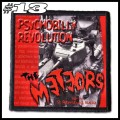 THE METEORS -- Patch (13).jpg