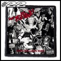 THE METEORS -- Patch (22).jpg