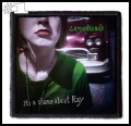THE LEMONHEADS -- Patch (1).jpg