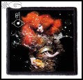 BJORK -- Patch (6).jpg