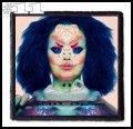 BJORK -- Patch (11).jpg