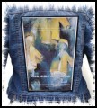 THE CARDIGANS - Fillmore Auditorium -- Backpatch.jpg