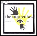 THE SUGARCUBES -- Patch (7).jpg