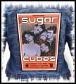 THE SUGARCUBES - Enmore Theatre -- Backpatch.jpg