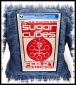 THE SUGARCUBES - Pine ST Theatre -- Backpatch.jpg