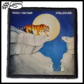 TYGERS OF PAN TANG -- Patch (5).jpg