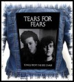 TEARS FOR FEARS - Songs from the Big Chair #2 --- backpatch back patch.jpg