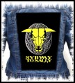 SUBWAY TO SALLY -- backpatch back patch.jpg