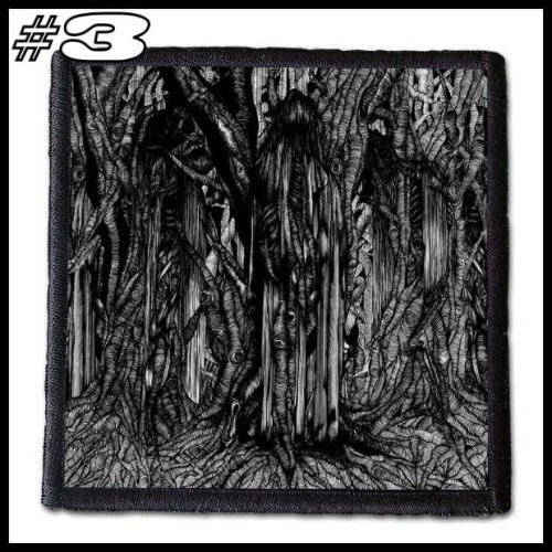 SUNN -- Patch (3).jpg