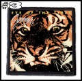 SURVIVOR -- Patch (3).jpg