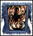 SURVIVOR - Eye Of The Tiger -- backpatch back patch.jpg