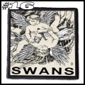 SWANS -- Patch (16).jpg